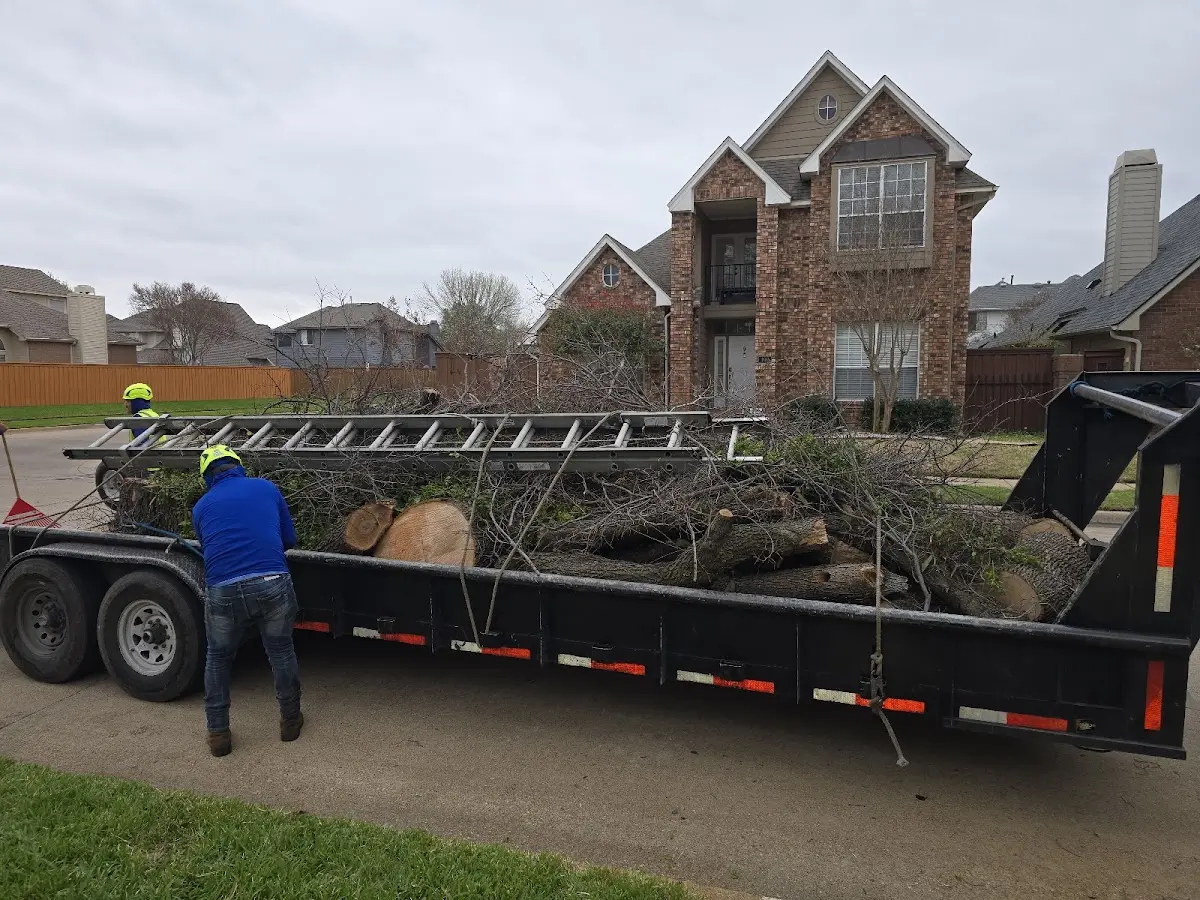 Expert Tree Pest Control with proper safety equipment in Fairmont
